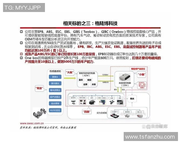 伯明翰足球俱乐部的辉煌历史与未来发展展望分析